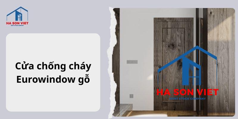 Cửa chống cháy Eurowindow gỗ